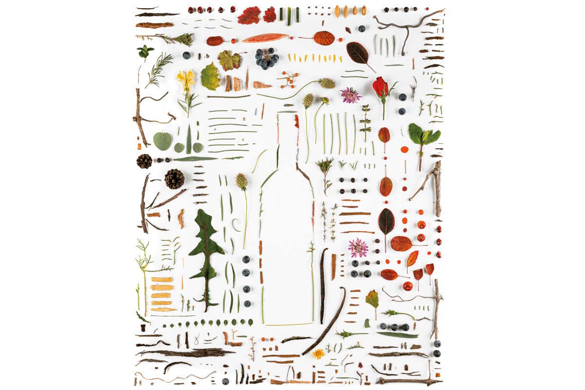 Arnaldo Caprai profumi e sapori del Sagrantino raccontati in quattro opere d'arte